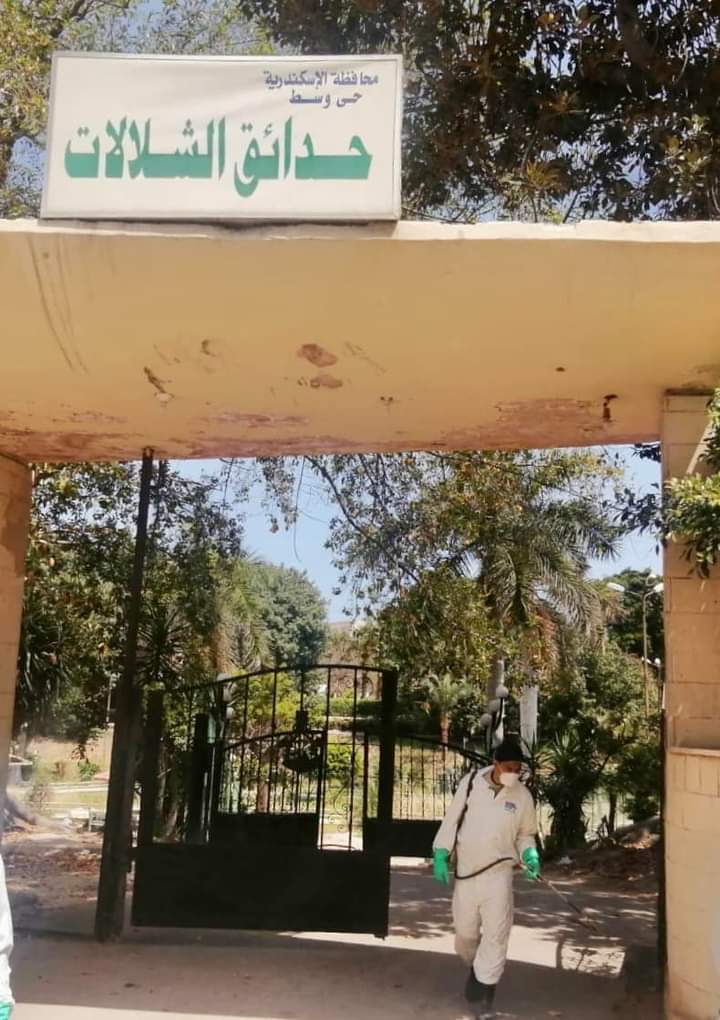 عمل المستشفيات في الإسكندرية خلال العيد