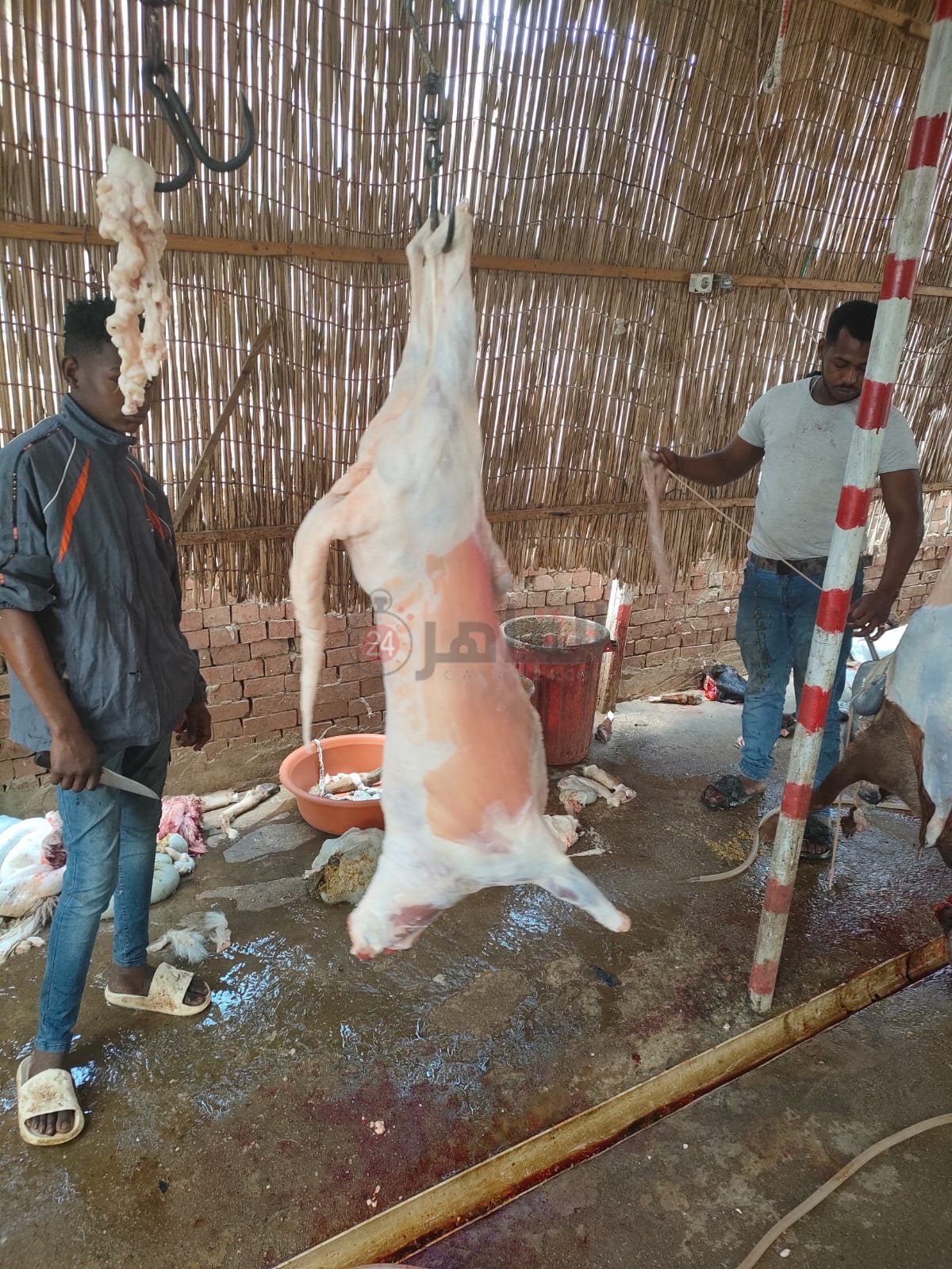 سقوط أصحاب مجازر شهيرة بالجيزة