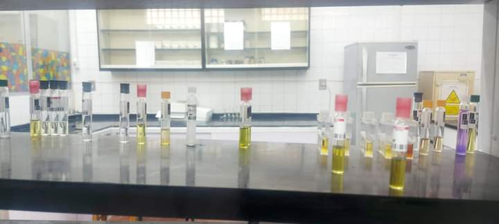 FB_IMG_1683191175950