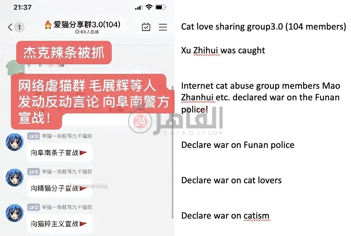 تهديدات بتكرار واقعة فيديو القطة في الخلاط