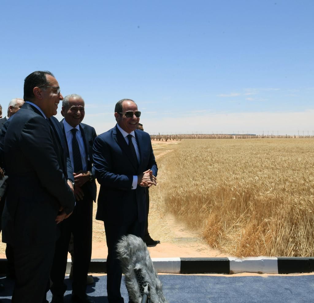 الرئيس السيسي اليوم