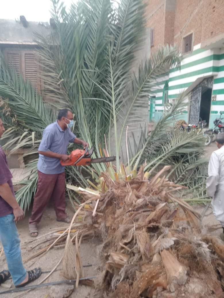 FB_IMG_1685216524470