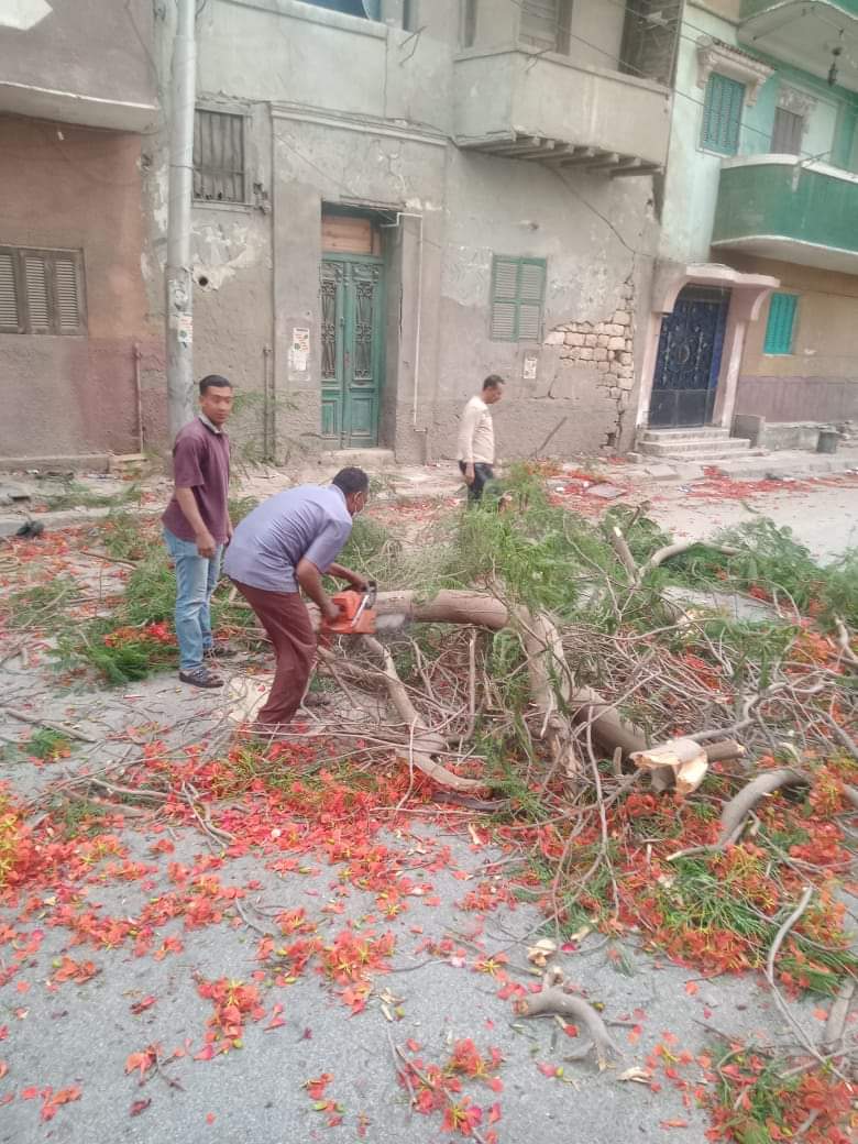 FB_IMG_1685216528456