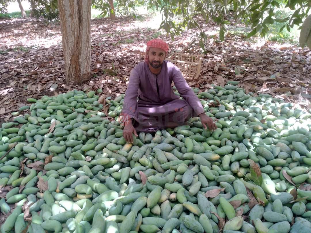 ce006b78-f3d8-4a18-9500-57ffac660be4