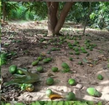 07702d19-f916-43eb-8ee0-aadab1ee1ca2