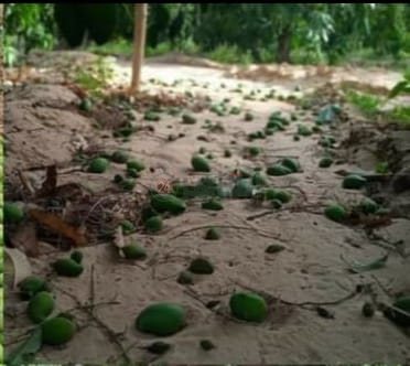 7a9f2350-ef5e-44ae-a747-1e30e1cabfa6