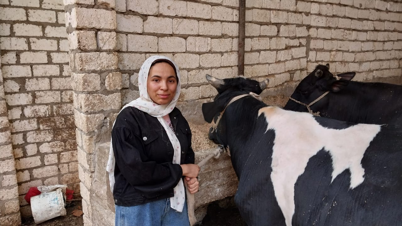 أصغر جزارة بسوهاج4