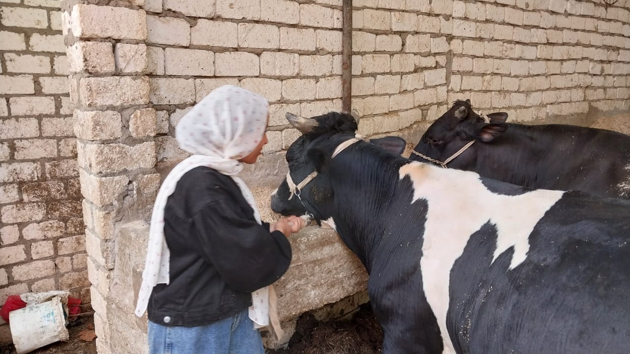 أصغر جزارة بسوهاج