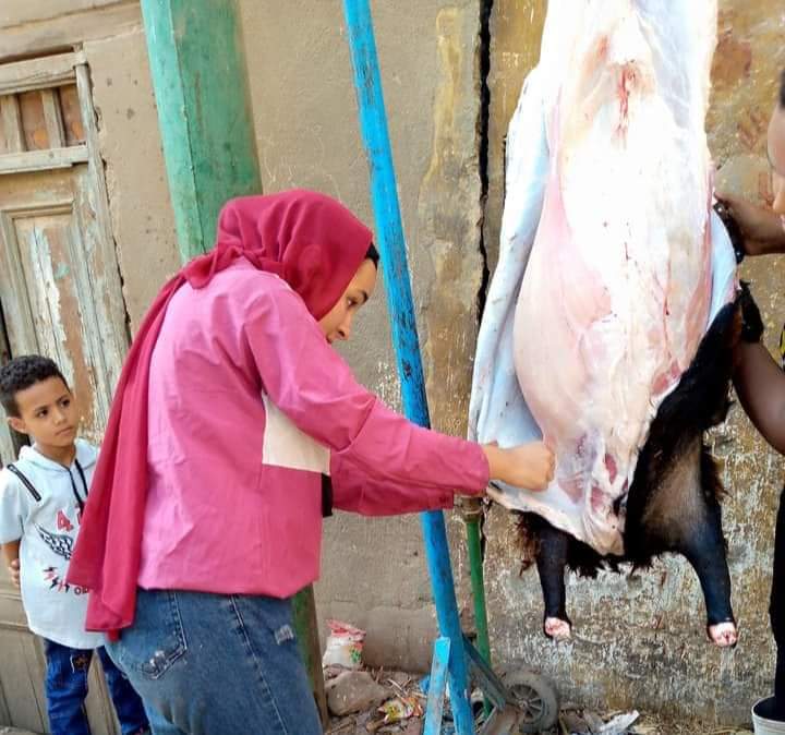 أصغر جزارة بسوهاج1