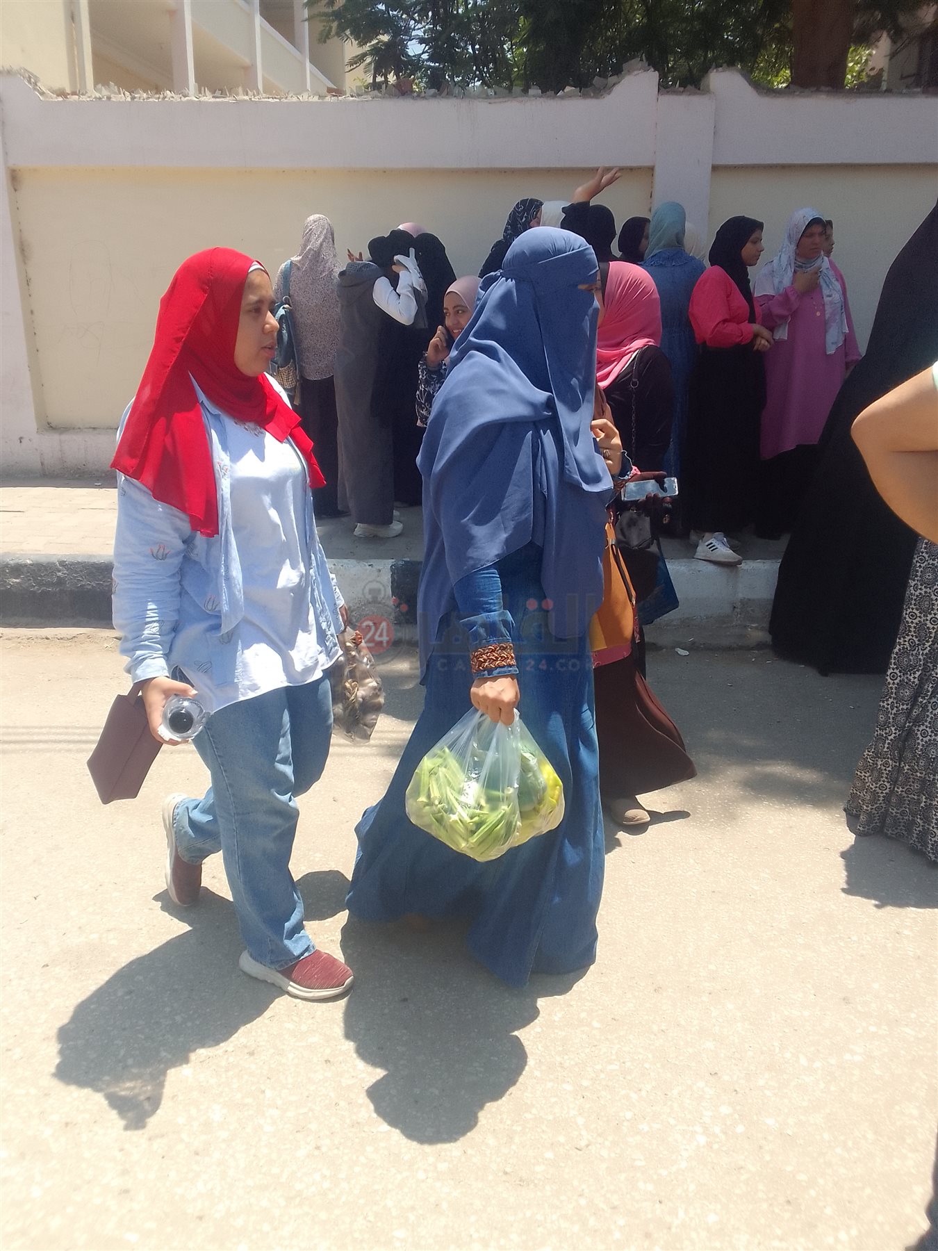 IMG_٢٠٢٣٠٧٠٦_١٢١٠١٠