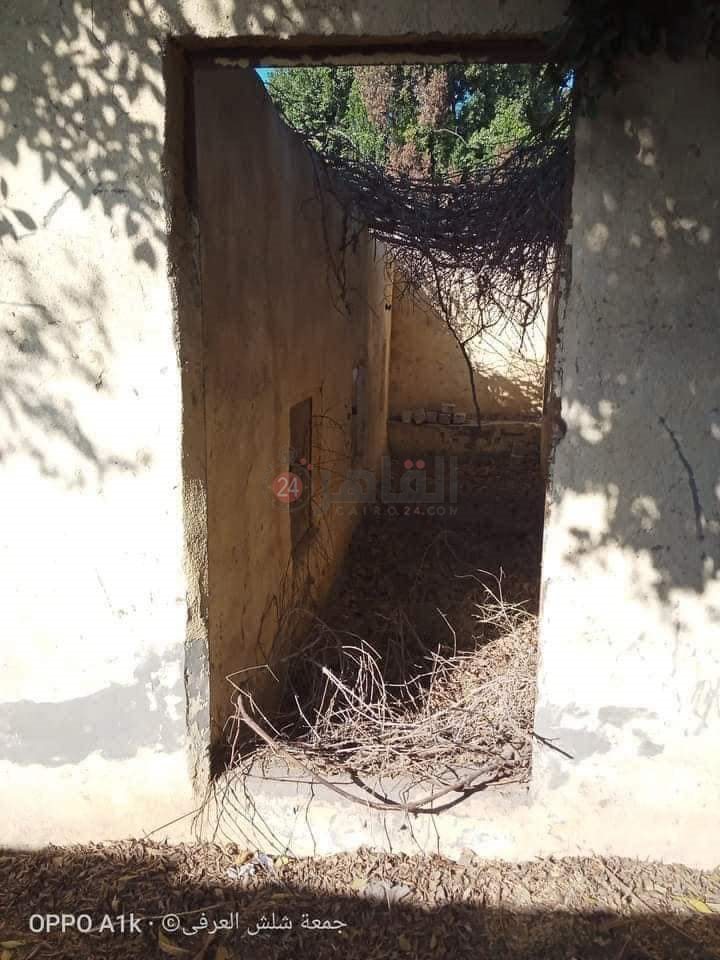 FB_IMG_1692437258842