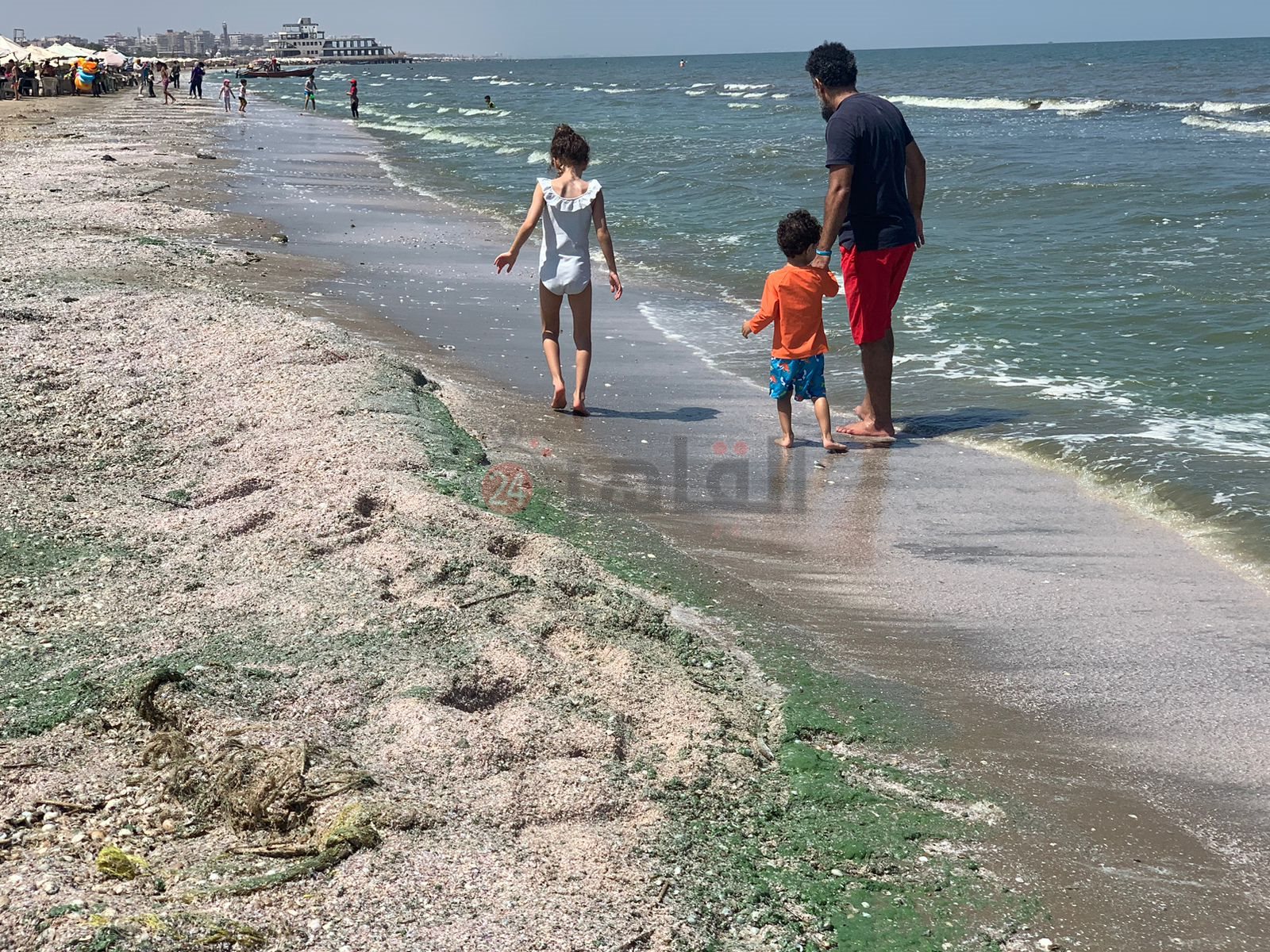 ريم أخضر علي شاطئ بورسعيد 3