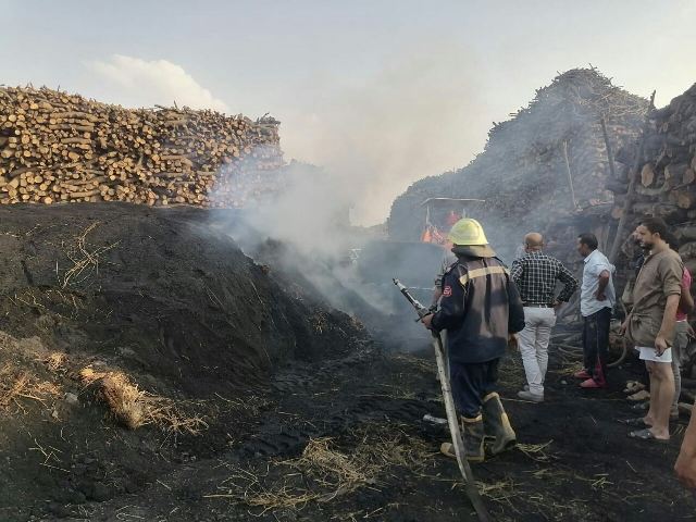 حرق قش الأرز بالشرقية 04