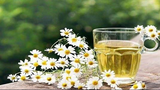 شاي البابونج