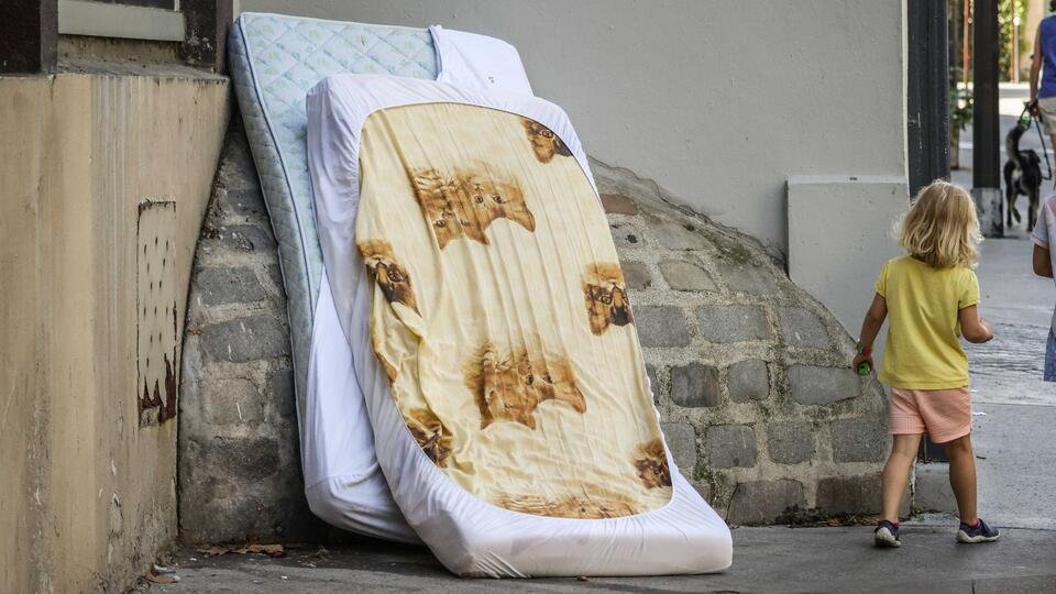 تفسير حلم البق في شعر الرأس للمتزوجة