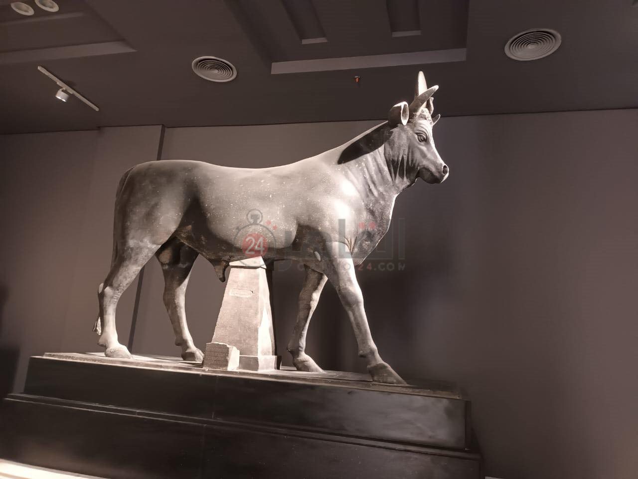 المتحف اليوناني الروماني بالإسكندرية 