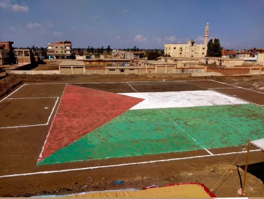 علم فلسطين في أرضية ملعب المباراة 03