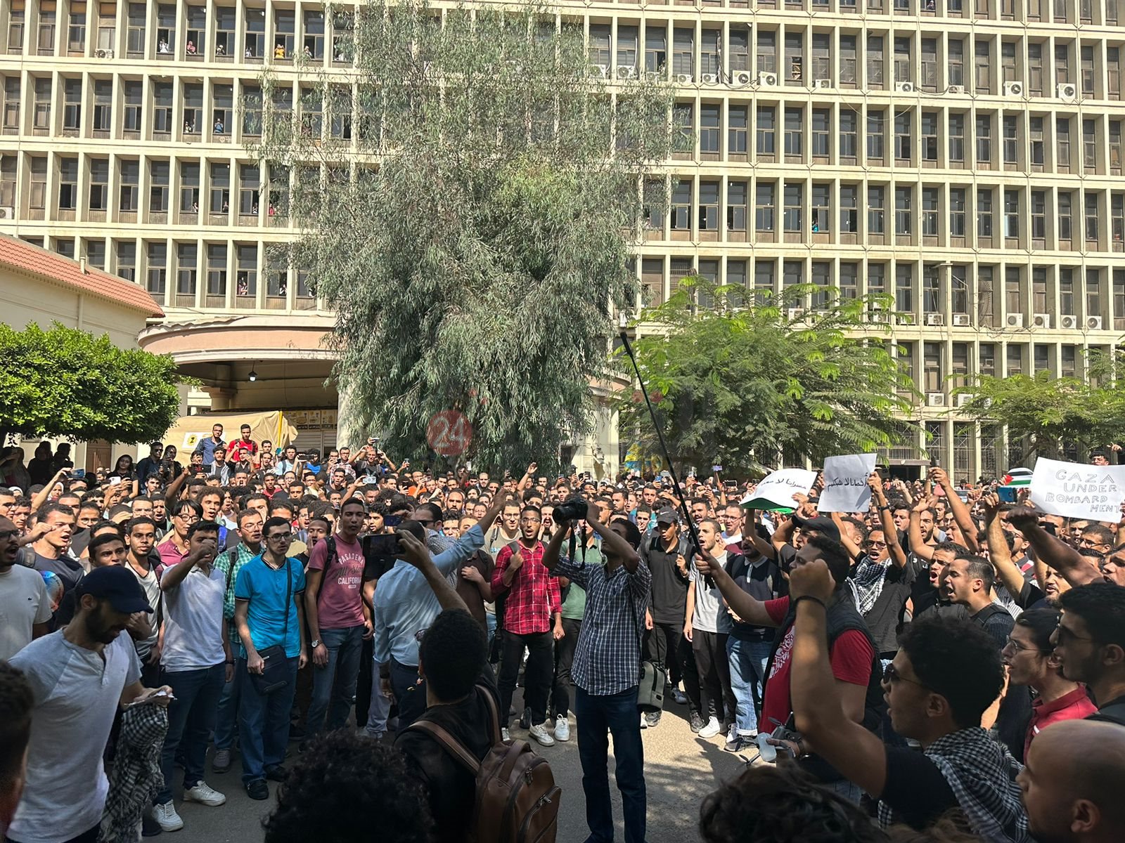 d071f07a-67c8-448f-b255-ff29893dd063 (1)