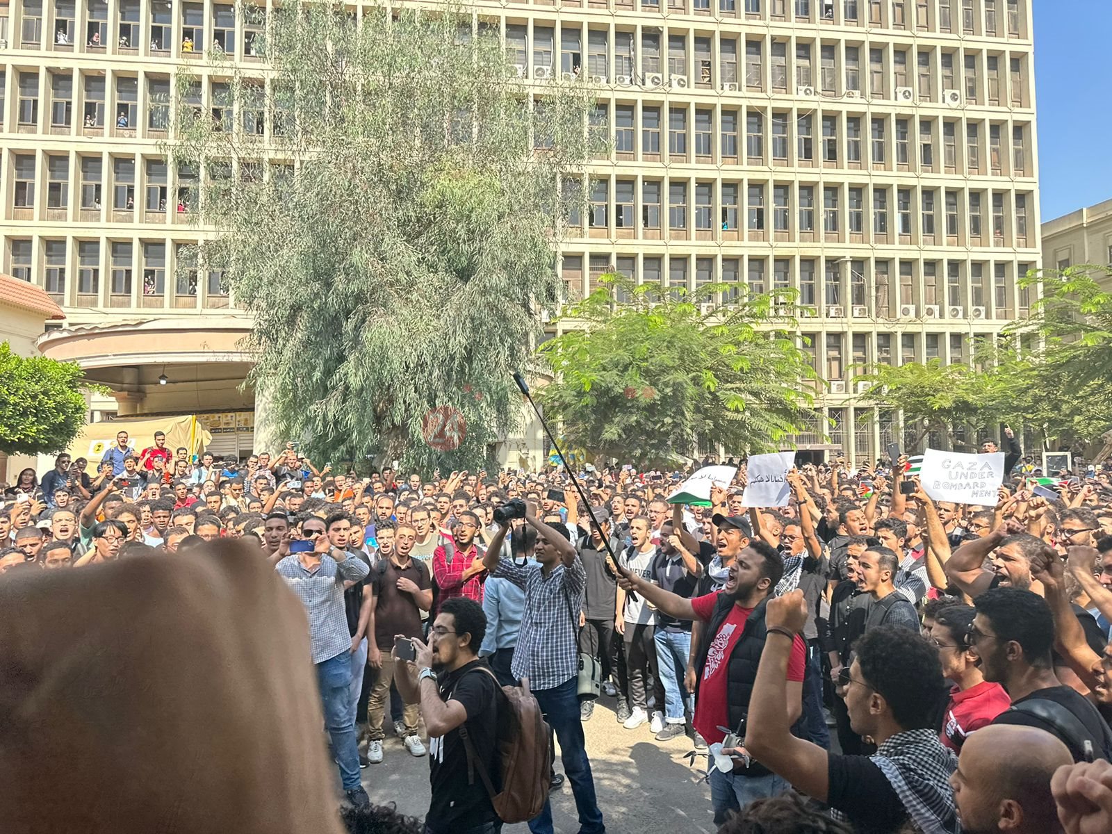 9e4258bf-434e-440a-9d38-0803b2aa1201