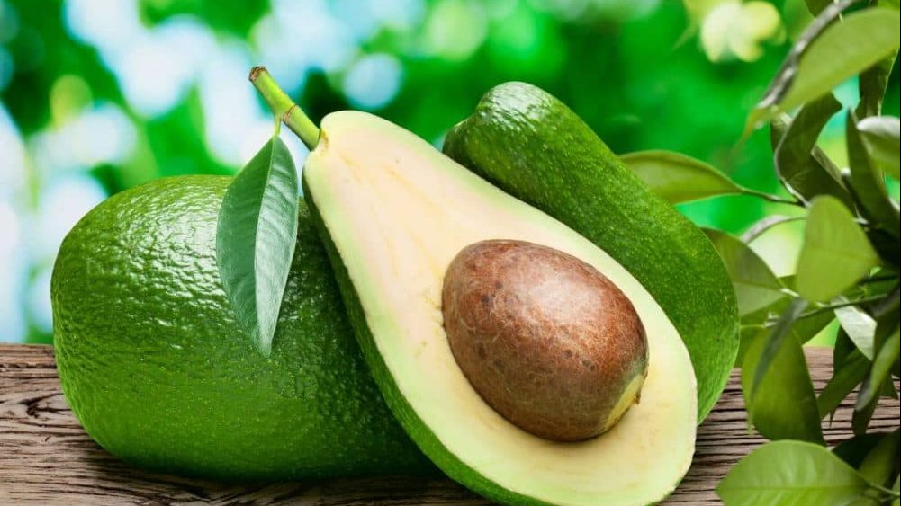 الأفوكادو
