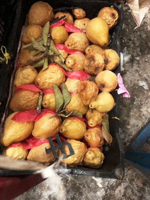 جوافة غير صالحة للاستهلاك