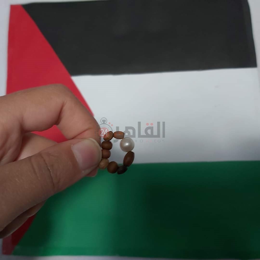 IMG-20231202-WA0009(1)