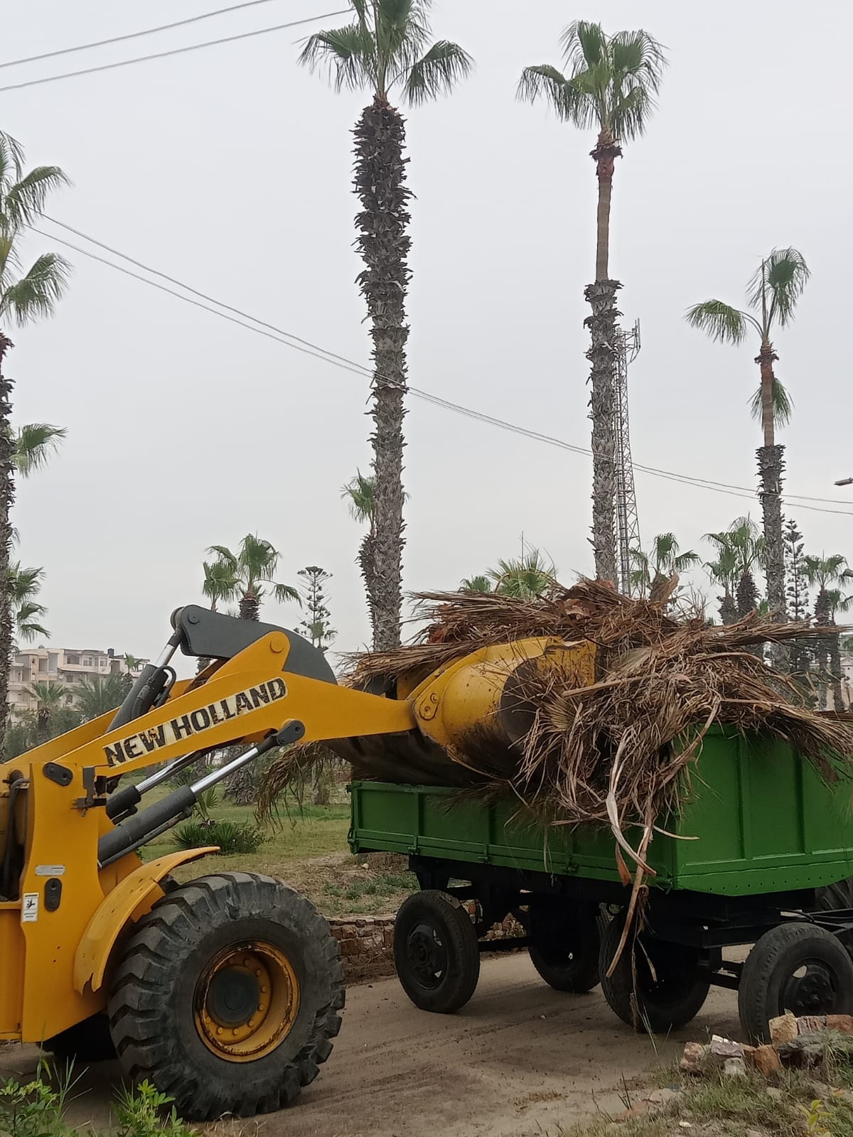 409072388_746208157538748_3287531214754999336_n