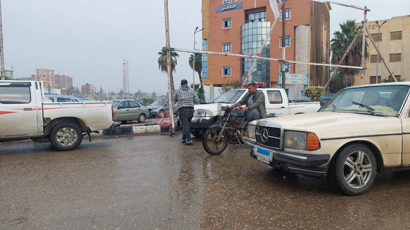 حالة الطقس في الدقهلية