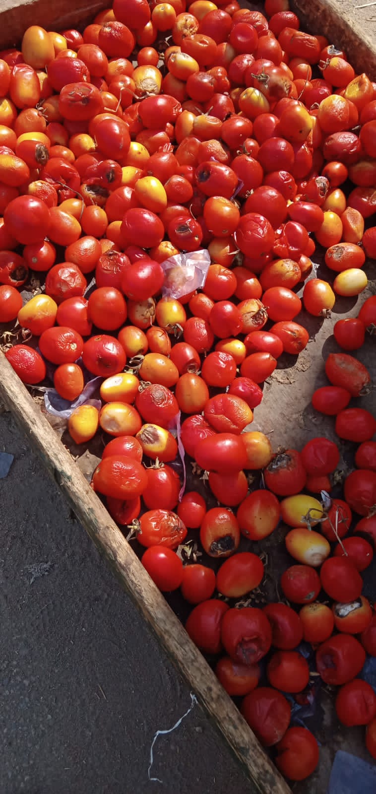 أغذية فاسدة