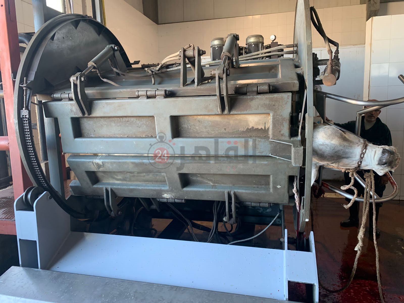 زيارة وزير التنمية المحلية لجنوب بورسعيد 