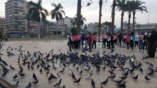 حديقة المسلة ببورسعيد 