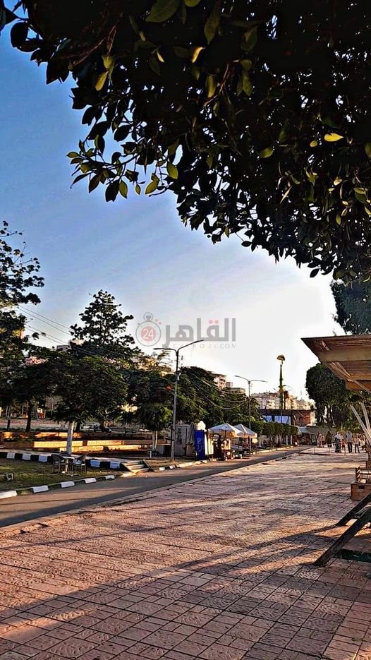 363454374_276717911672940_7219201808402231653_n