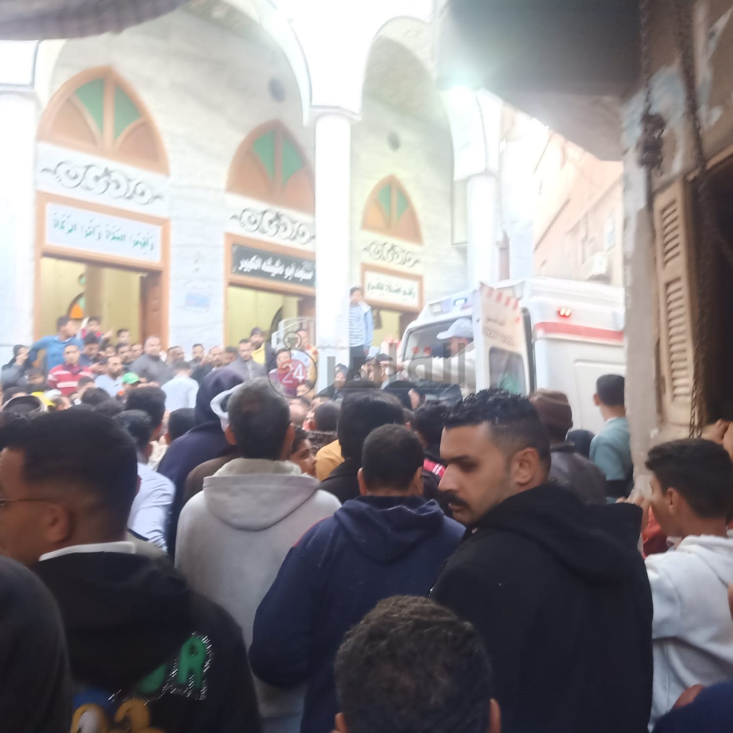 WhatsApp Image 2024-01-19 at 7.53.06 AM (4)