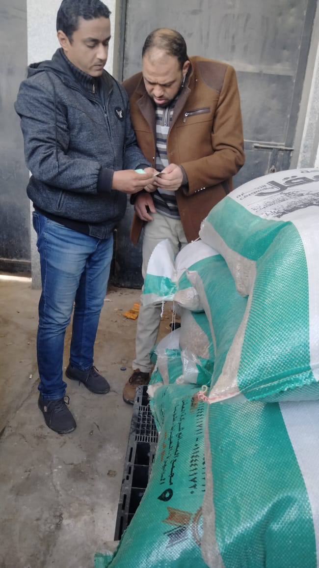 ضبط كمية كبيرة من الذرة الصفراء في حملة تموينية بالإسكندرية 