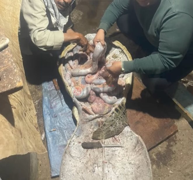 IMG_٢٠٢٤٠٢٠٣_١٣٢٥٤٤