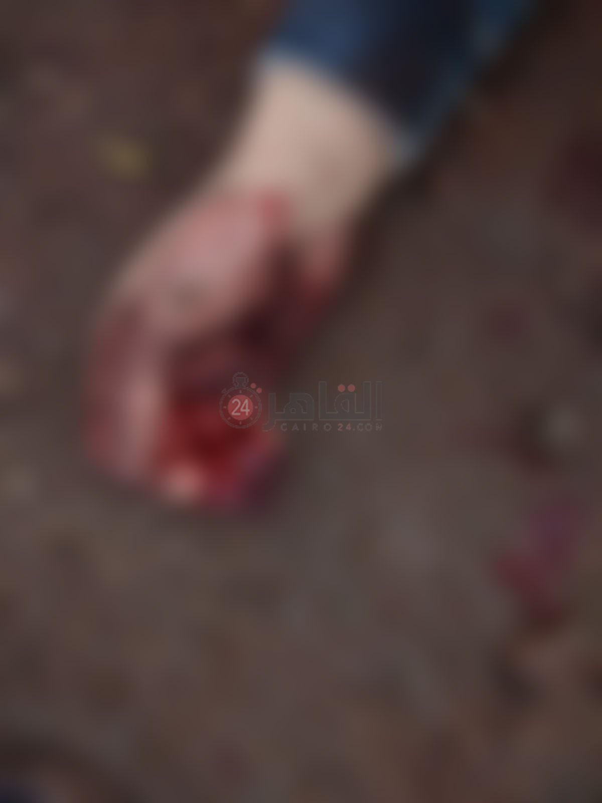 b47c88a4-8339-40d4-bc78-ca26b7a02c98