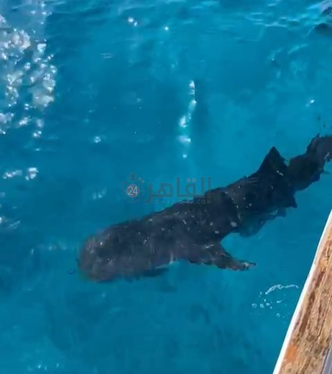 IMG_٢٠٢٤٠٢٠٧_١٢١١٠٣