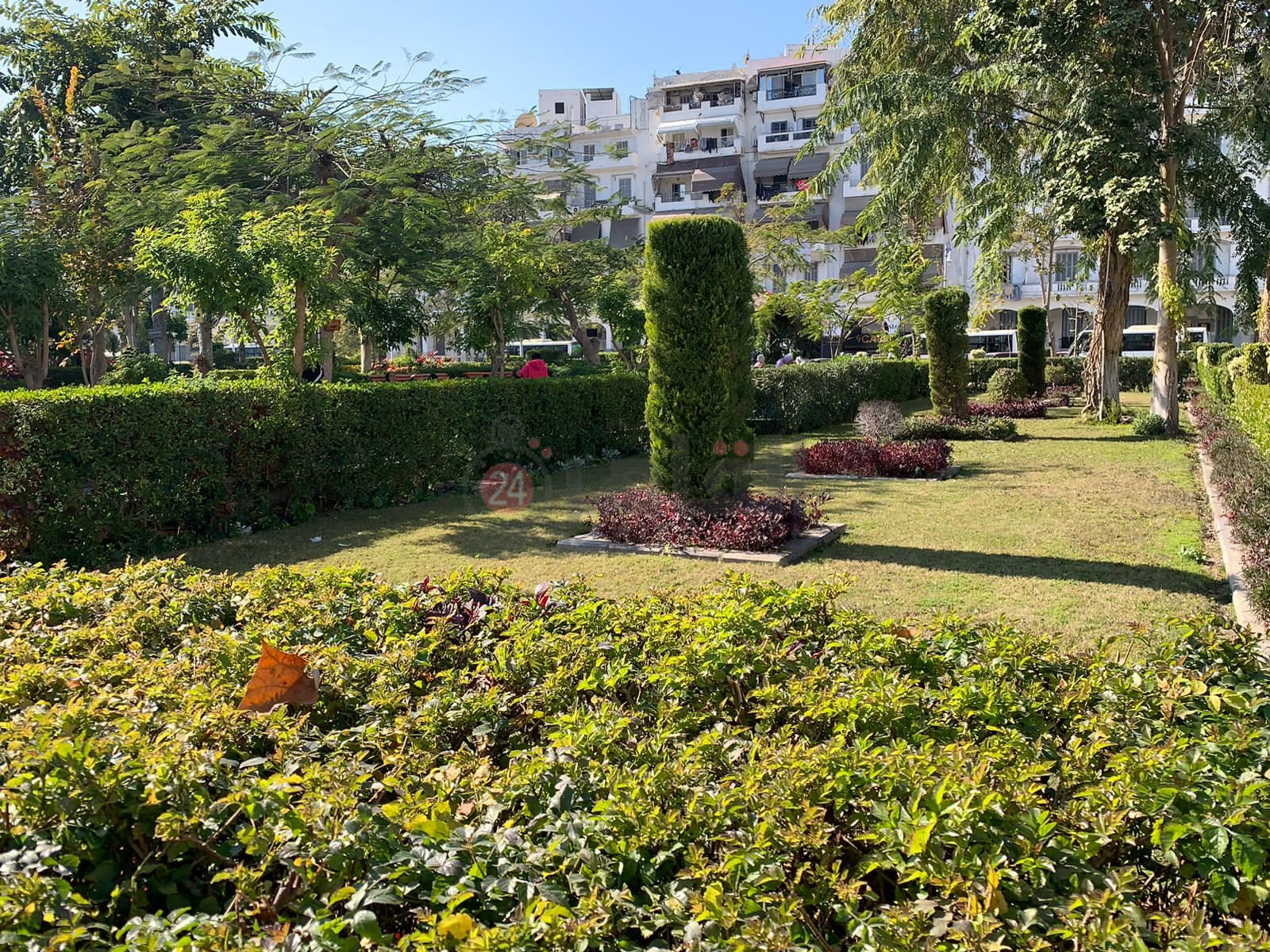 حديقة فريال ببورسعيد 