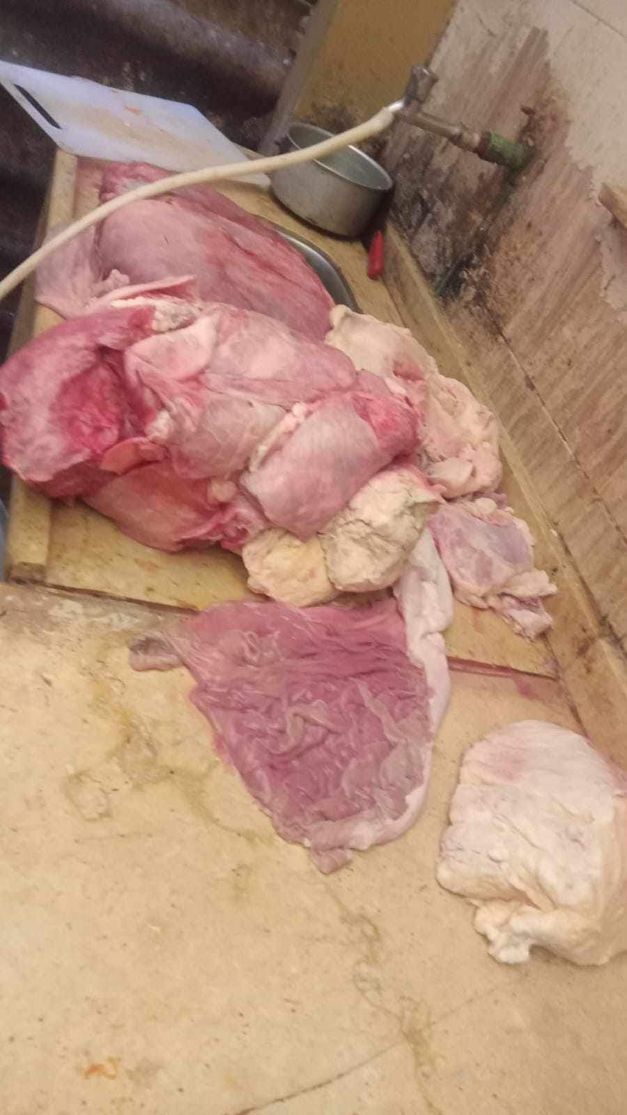 ضبط أحشاء غير صالحة للاستهلاك الأدمي ببورسعيد 