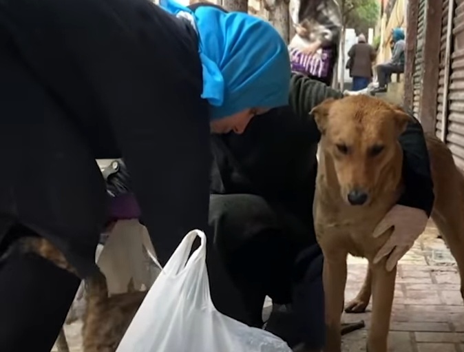 شقيقتان ترعيان الكلاب في فلمنج بالإسكندرية