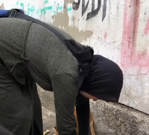 شقيقتان ترعيان الكلاب في فلمنج بالإسكندرية