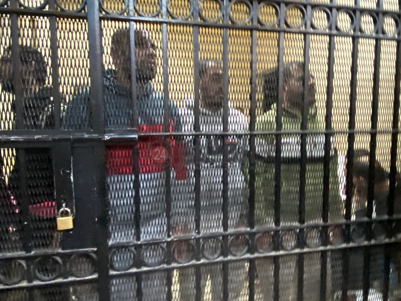 afe77a85-8a7c-448b-8c41-d1c99e20cf05