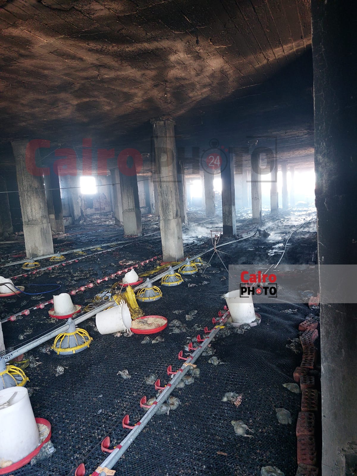 حريق مزرعة دواجن بكفر الشيخ 