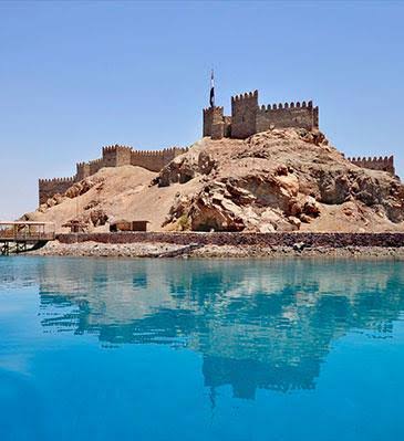 images - 2024-02-25T154834.330