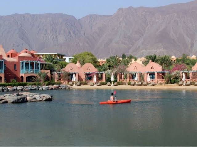 images - 2024-02-25T154614.917