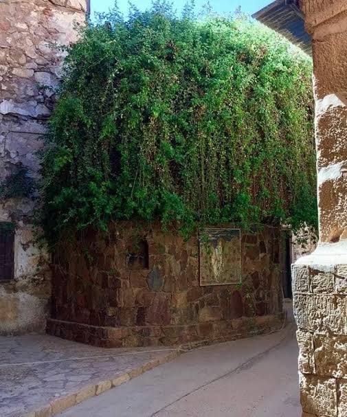 images - 2024-03-04T091939.357