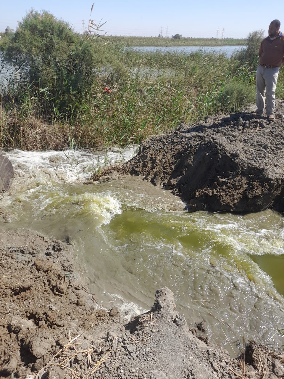 حملات ازالة التعديات ببورسعيد 