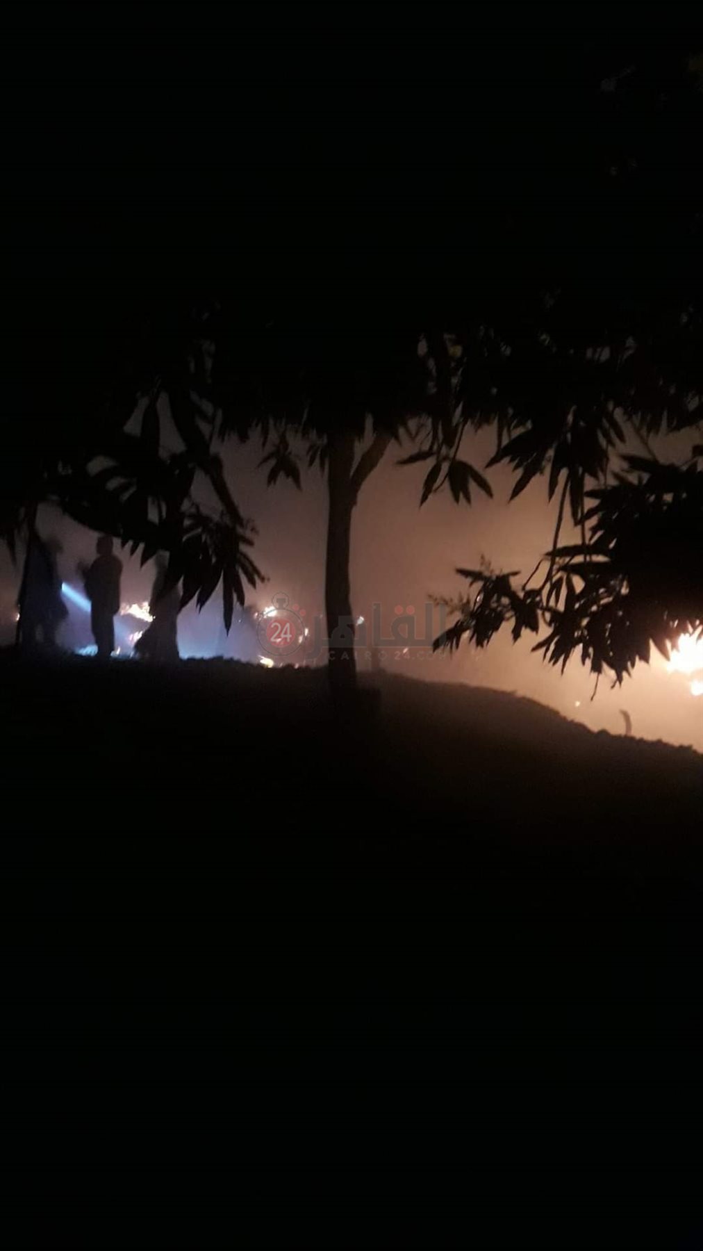 حريق مزرعه مانجو بالفيوم 