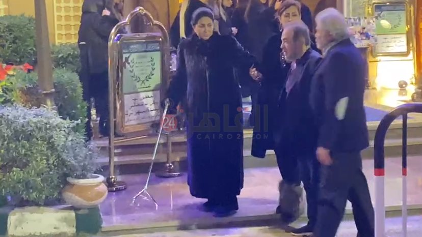 وفاء عامر (3)