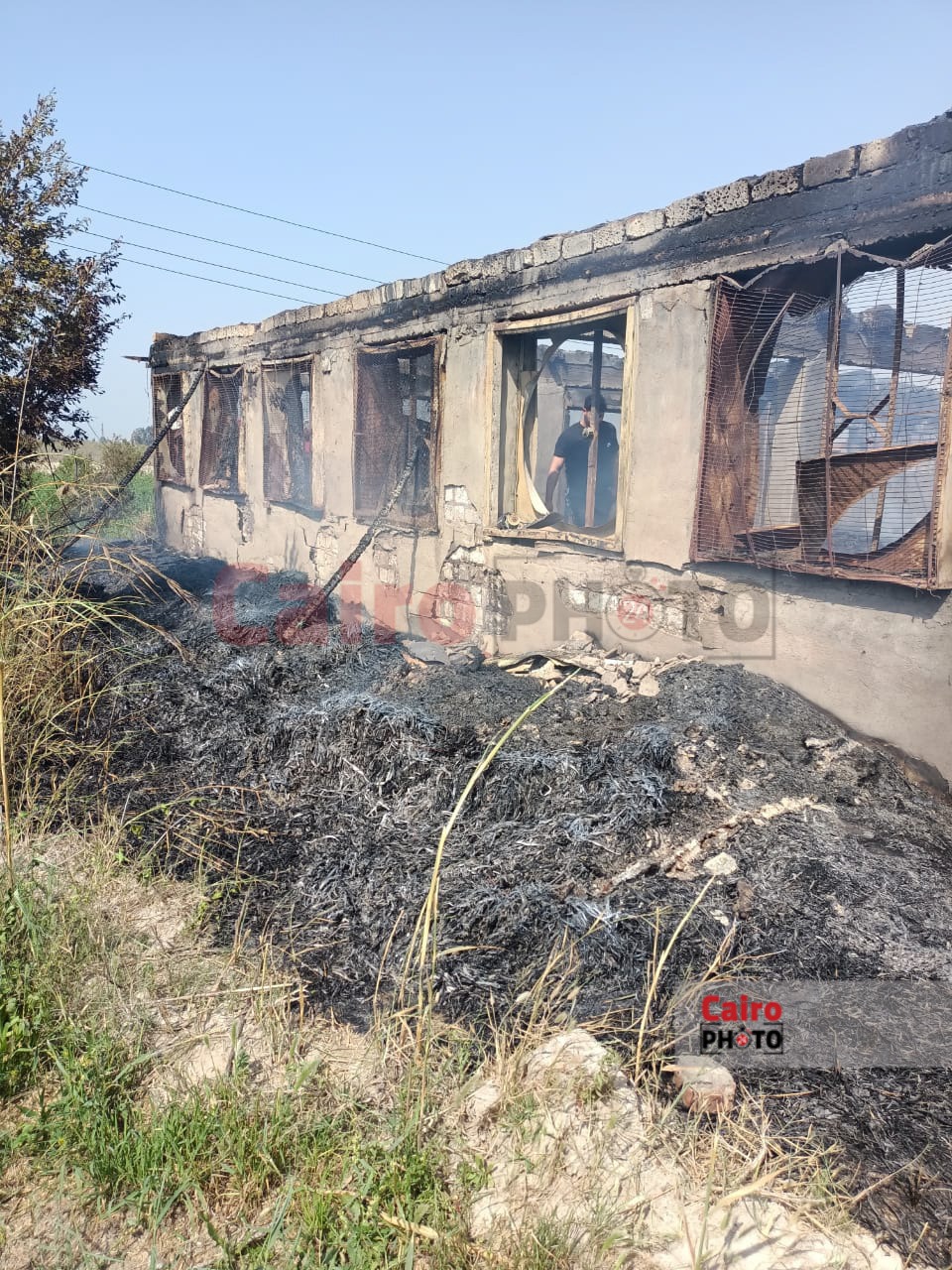 حريق مزرعة دواجن بالإسماعيلية 